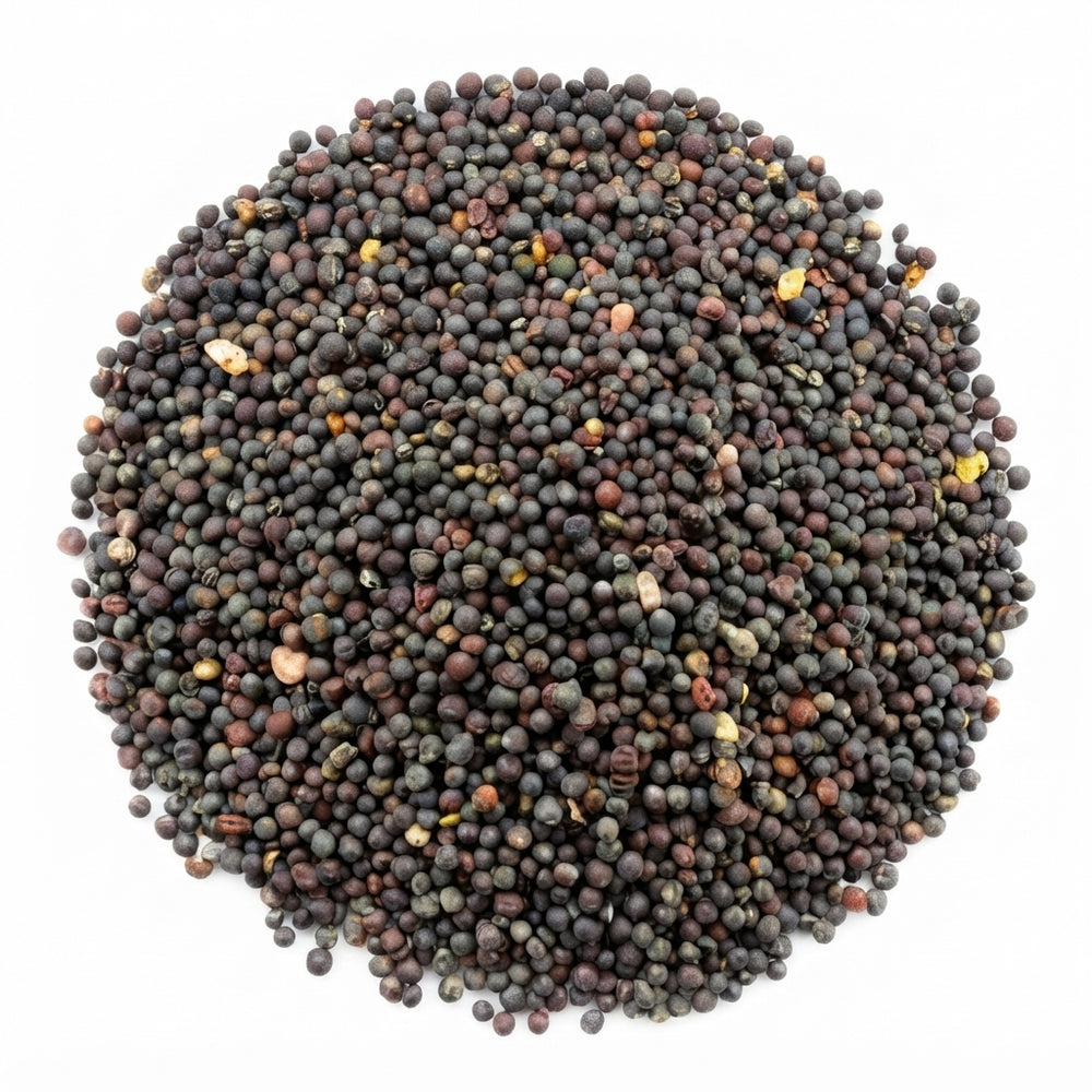 Graines de Navet – Variété de Qualité | Culture Facile & Récolte en 6 à 8 Semaines