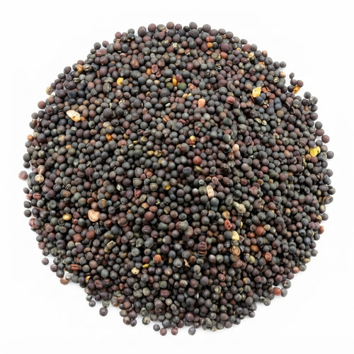 Graines de Navet – Variété de Qualité | Culture Facile & Récolte en 6 à 8 Semaines