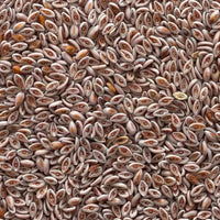 Graines de Psyllium – 50g, 100g ou 200g | Fibres Naturelles Sans Gluten