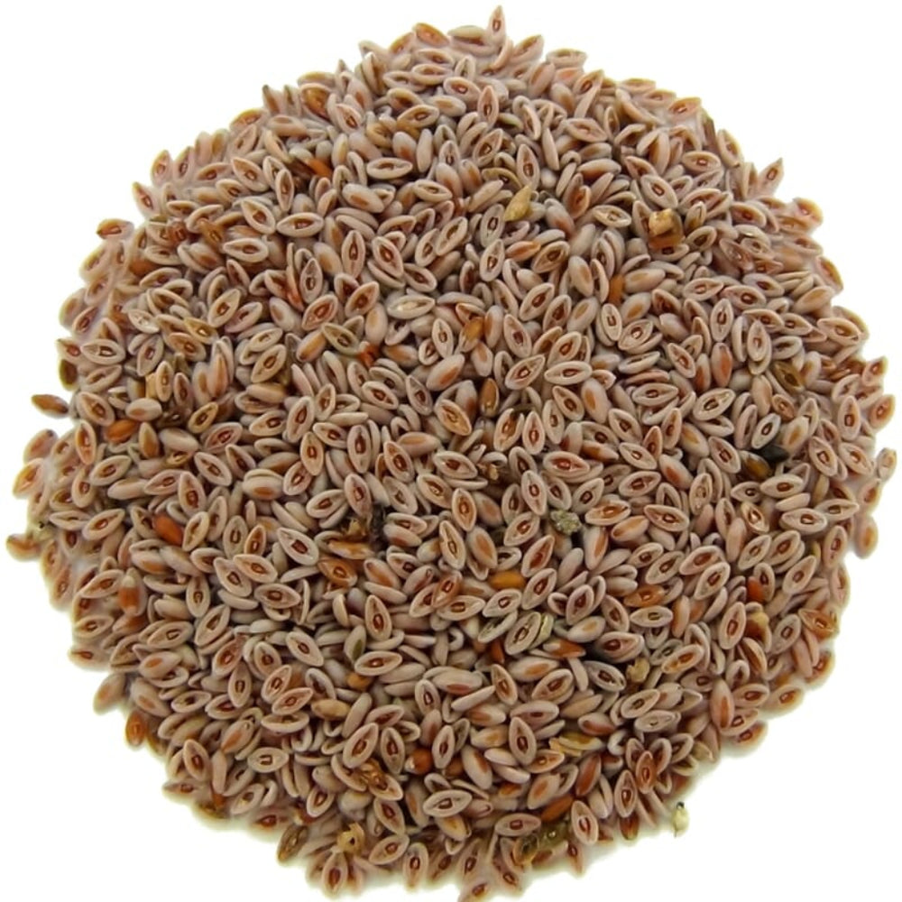 Graines de Psyllium – 50g, 100g ou 200g | Fibres Naturelles Sans Gluten