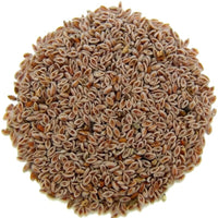 Graines de Psyllium – 50g, 100g ou 200g | Fibres Naturelles Sans Gluten