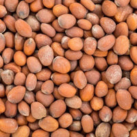 Graines de Radis – Superaliment Riche en Fer | Beauté & Bien-Être Naturel