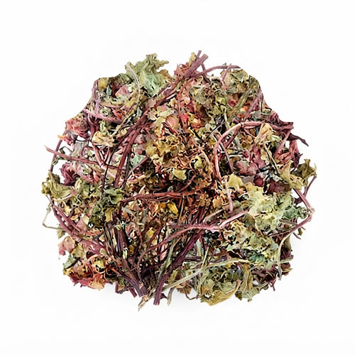 Herbe Traditionnelle – Soutien Urinaire, Respiratoire & Bien-Être Général