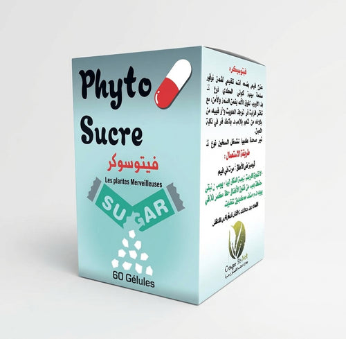 Phyto Balance 60 Gélules – Complément Alimentaire Formule Végétale | Routine Quotidienne