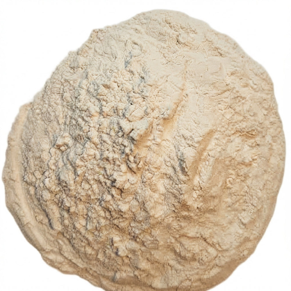 Poudre de Gomme arabique – Gomme de Dragon | 100% Naturelle du Maroc