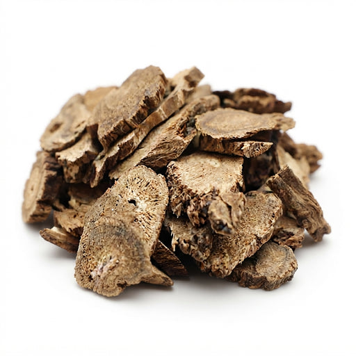 Racines de Costus (Al Qisst) – 50g, 100g ou 200g | Plante Médicinale Naturelle