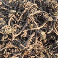 Racines de Pyrèthre d'Afrique – Plante Traditionnelle | Soutien Naturel Multi-Usages