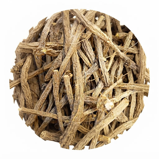 Racines de Pyrèthre d'Afrique – Plante Traditionnelle | Soutien Naturel Multi-Usages