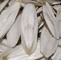 Sépion (Os de Calmar) – 50g, 100g ou 200g | Superaliment Riche en Minéraux