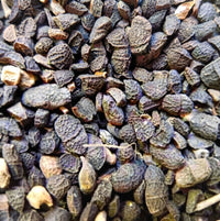 Tara Sahraouia 50g, 100g, 200g | Tamarix articulata | Um Saad Habat el rasse