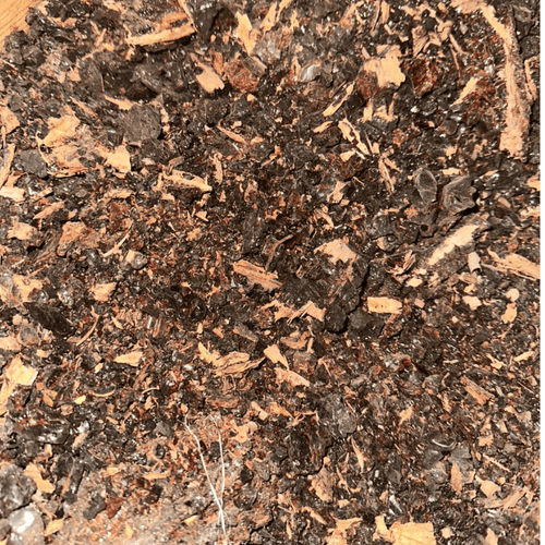 Al Mokal Al Azrak Bleu المقل الأزرق 50g / 100g / 200g – Résine Encens Traditionnelle - nilabeautys.com