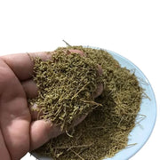 Armoise Commune chih - nilabeautys.com