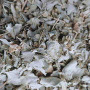 Atriplex Halimus 50g 100g 200g - Santé Féminine Naturelle