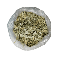 Atriplex Halimus (El Gtaff) – Feuilles Séchées Naturelles - nilabeautys.com