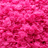 Bakhour Maamoul Rose – Encens Oriental Saoudien Parfum Floral - nilabeautys.com