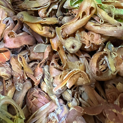 Bssibissa Croûtes de Noix de Muscade 50g / 100g / 200g – Épice Aromatique - nilabeautys.com