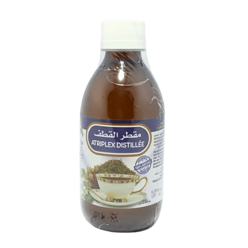 Distillée Atriplex Halimus 250ml - El Qtaf Arroche marine ou halime