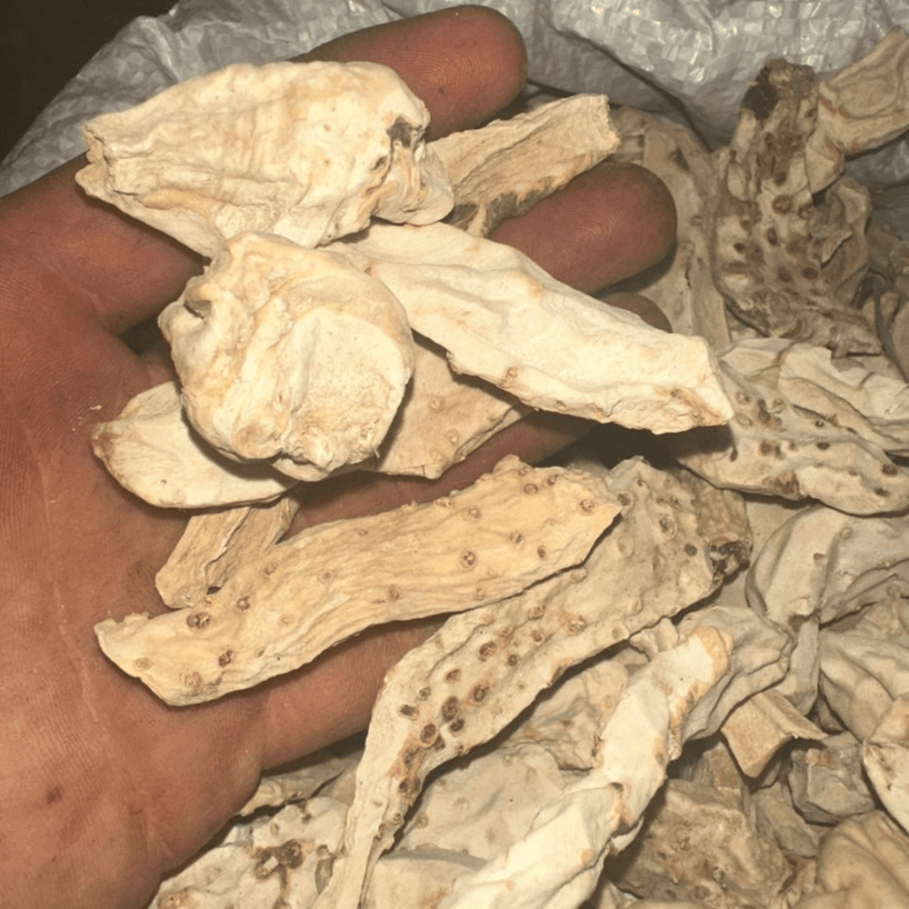 El Anbar – Ambre Marocain Naturel - nilabeautys.com