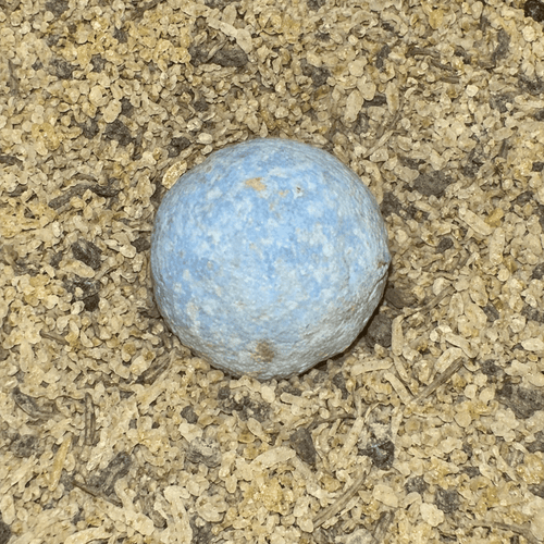 El Jarjar Bleu 50g / 100g / 200g – Produit Traditionnel Marocain - nilabeautys.com