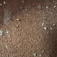 El Salba 50g / 100g / 200g – Encens Naturel Traditionnel - nilabeautys.com