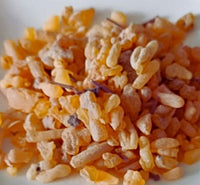 Encens Mastic Bleuri – Résine Aromatique Premium pour Méditation - nilabeautys.com