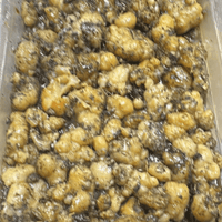Fassoukh Marocain Galbanum 200g – فاسوخ مغربي أصلي - nilabeautys.com