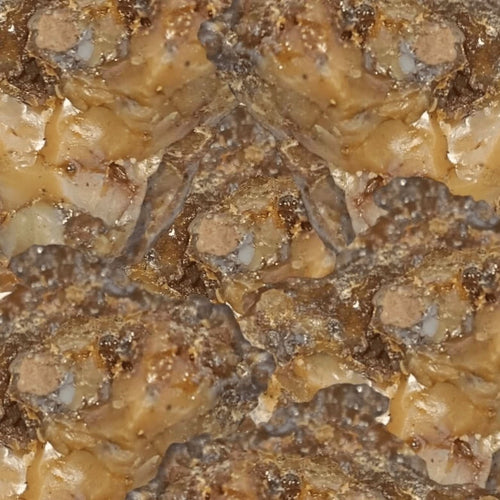 Fassoukh Maghribi Galbanum | Marokkanischer Fasoukh – 10g, 50g, 100g الفاسوخ