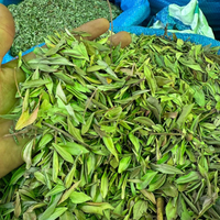 Feuille de Myrte Rayhan Vert 50g / 100g / 200g – Plante Naturelle Cheveux - nilabeautys.com