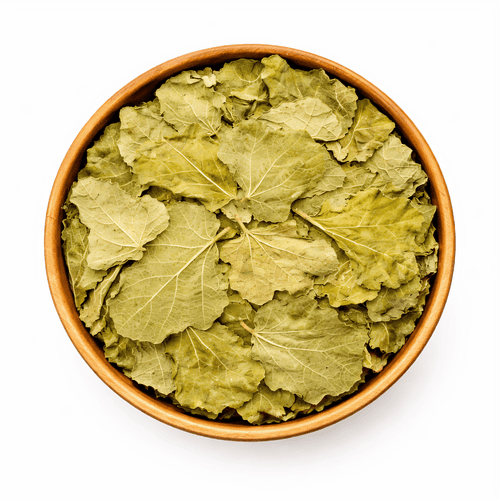 Feuilles de Figuier Séchées – 50g / 100g / 200g – Infusion Naturelle - nilabeautys.com