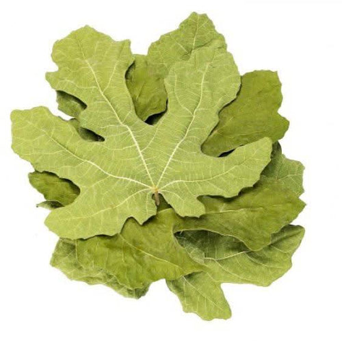 Feuilles de Figuier Séchées 50g, 100g, 200g