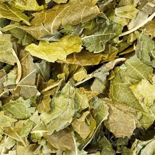 Feuilles de Framboisier Séchées | Al Toutt – Formats 50g, 100g, 200g