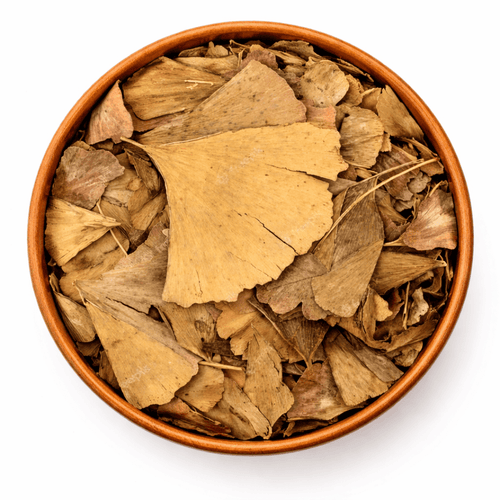Feuilles de Ginkgo Biloba Séchées – Infusion & Bien-être Naturel - nilabeautys.com