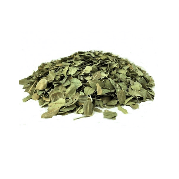 Feuilles de Jujubier (Sidr) du Maroc - nilabeautys.com