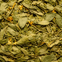 Feuilles de Jujubier Sidr du Maroc – Ziziphus (Sidr) Naturel - nilabeautys.com