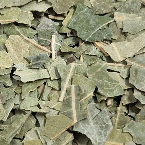 Feuilles de Margousier | Neem | 50g | 100g | 200g