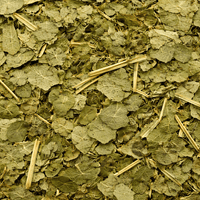 Feuilles de Margousier (Neem) – 50g / 100g / 200g – Plante Naturelle - nilabeautys.com