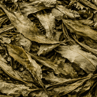 Feuilles de Pêcher – 50g / 100g / 200g – Infusion & Bien-être Naturel - nilabeautys.com