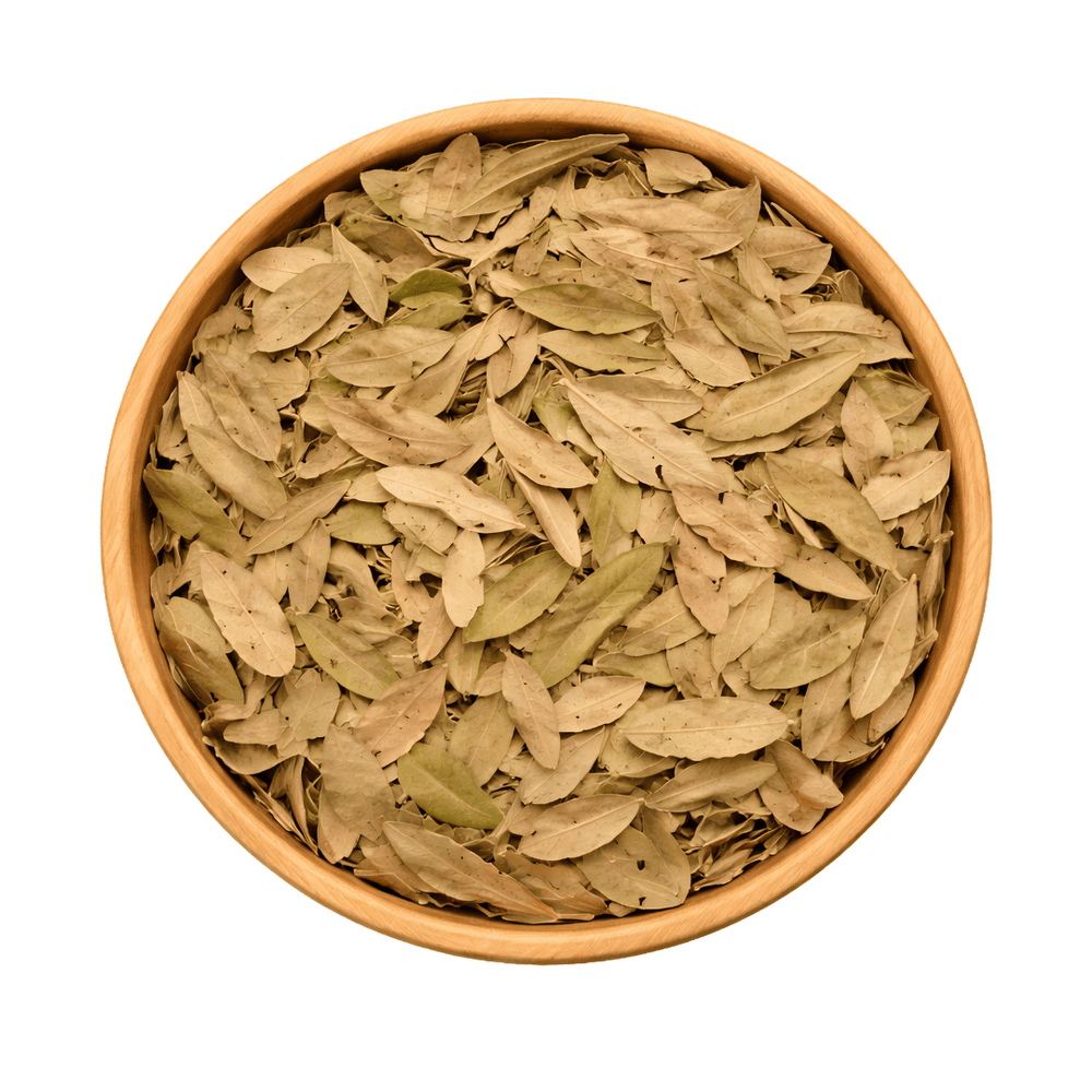 Feuilles de Pistacia lentiscus (El Darw الضرو) – Infusion & Bien-être Naturel - nilabeautys.com