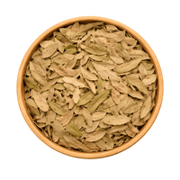Feuilles de Pistacia lentiscus (El Darw الضرو) – Infusion & Bien-être Naturel - nilabeautys.com
