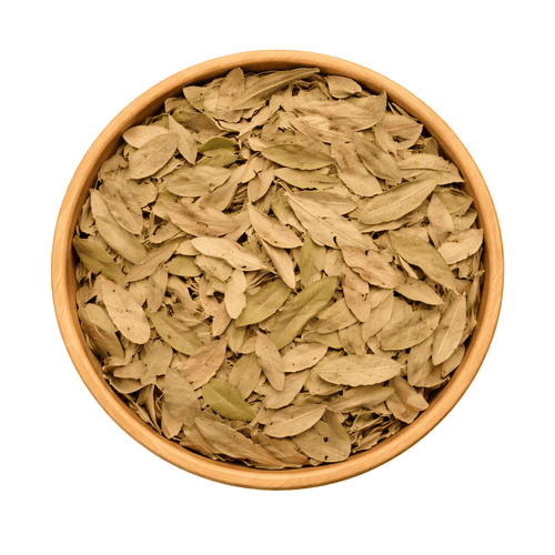 Feuilles de Pistacia lentiscus (El Darw الضرو) – Infusion & Bien-être Naturel - nilabeautys.com