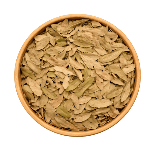 Feuilles de Pistacia lentiscus (El Darw الضرو) – Infusion & Bien-être Naturel - nilabeautys.com