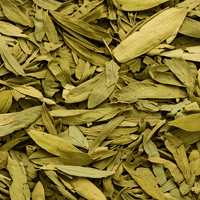 Feuilles de Sana & Sanoute – Séné Makki - nilabeautys.com