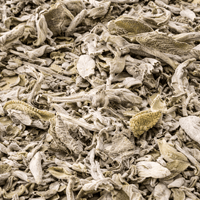 Feuilles de Sauge Séchées – Infusion & Usage Naturel Bien-être - nilabeautys.com