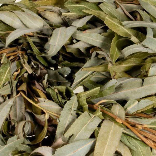 Feuilles de Saule Séchées | Al Safsaf