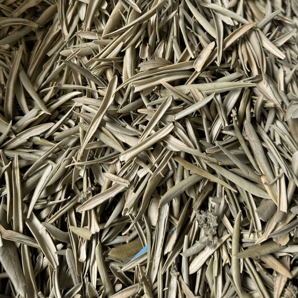 Feuilles d’Olivier El Zaytoun 50g / 100g / 200g – Plante Naturelle Infusion - nilabeautys.com
