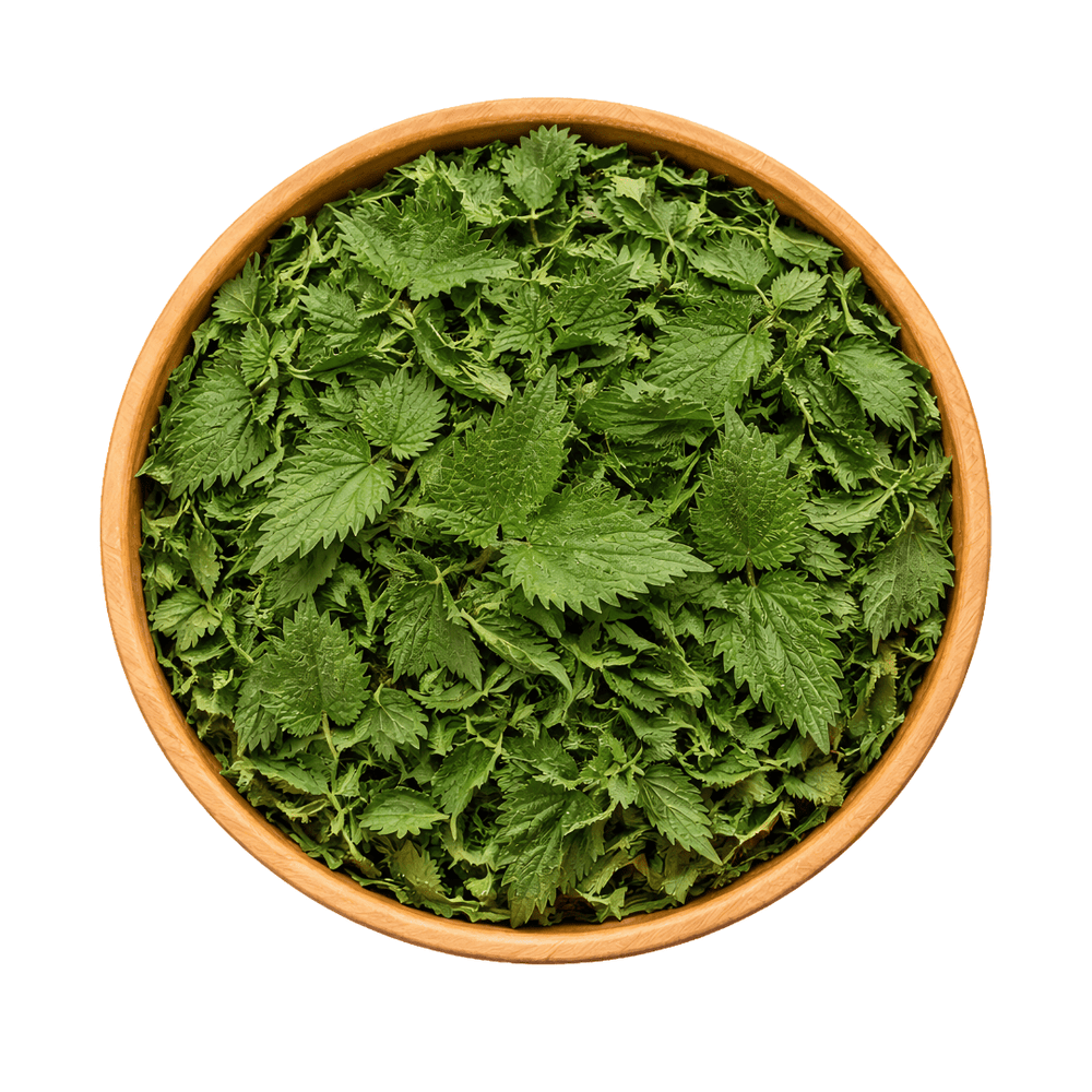 Feuilles d’Ortie Piquante Bio – Urtica Dioica – 50g / 100g / 200g - nilabeautys.com