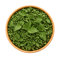 Feuilles d’Ortie Piquante Bio – Urtica Dioica – 50g / 100g / 200g - nilabeautys.com
