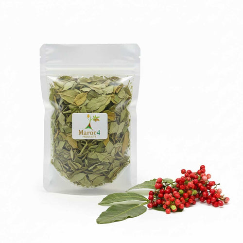 Feuilles séchées de Lentisque – Pistacia lentiscus – 50g / 100g / 200g - nilabeautys.com