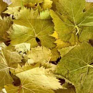 Getrocknete Weinblätter | Al Enab 100 % natürlich | Erhältlich in 50g, 100g und 200g