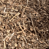 Fijel Feuilles de Rue (Ruta Graveolens) 50g / 100g / 200g – Herbe Naturelle - nilabeautys.com